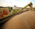 EU 2020/21 soft wheat exports 25.38 million tonnes by June 27