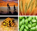 Growth in the time of commodity rise