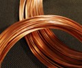 Copper heads for weekly gain on risk sentiment and stable dollar