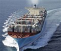 Dry bulk and container freight rates set to stay elevated this year, say industry players