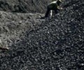 Five Asian countries to face tremendous losses if insistent on coal plants: report