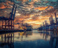 Global Container Port Congestion Squeezes Operators’ Margins