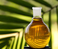 Palm oil ends lower tracking weaker soy prices, declining export pace