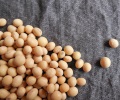 Soybeans edge higher on U.S. crop concerns