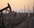 U.S. shale oil output expected to rise 42,000 bpd in August to 7.907 million bpd -EIA