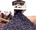 Australia’s iron ore price slumps after China move