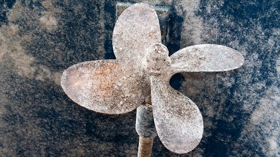 Ship's propeller 