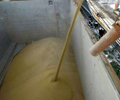 China’s July soybean imports fall on year on weak crushing margins