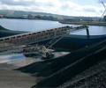 Coal India Apr-Jul offtake rises 28.4% year on year