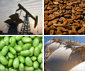 Commodity prices in retreat, with lower China imports likely here to stay, says forecaster