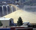 Hurricane Ida damages Louisiana grain terminal, disrupts exports