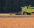 Russia’s agriculture ministry pauses grain harvesting data