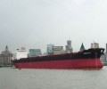 Dry Bulk Market: Negative Sentiment Engulfs the Market