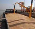 Egypt’s GASC Buys 360,000 Tonnes Of Wheat In Tender