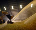 Global sugar supply to improve as output rises in Asia, Europe – broker