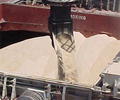 Indian Mills Need To Export More Sugar Without Subsidy