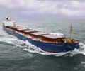 Baltic index hits one-month high as larger vessel rates rise